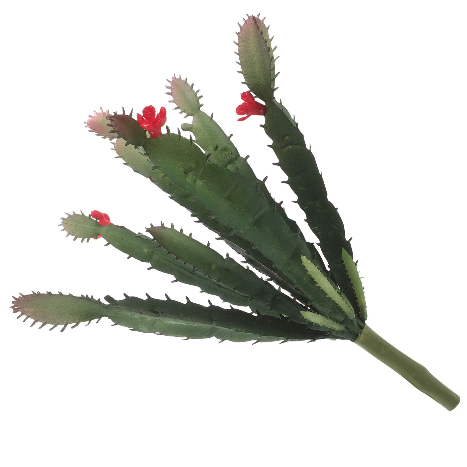 Arranjo de Mini Suculentas e C - Succulent Arrangement Mini avaliação e preço