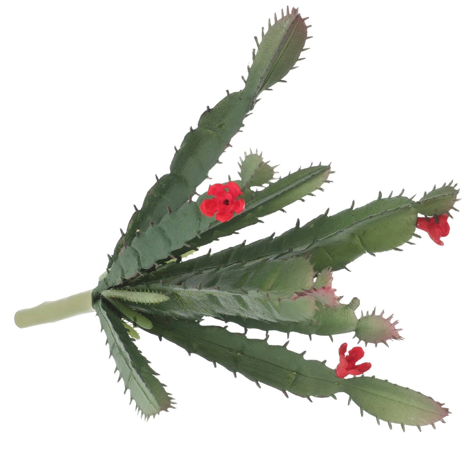 Arranjo de Mini Suculentas e C - Succulent Arrangement Mini avaliação e preço