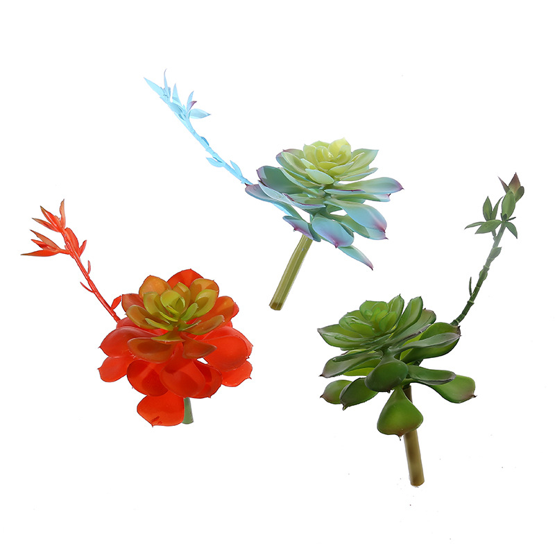 Wusmart-Zhong Li Lian Grandes  - Succulent Arrangement Mini avaliação e preço