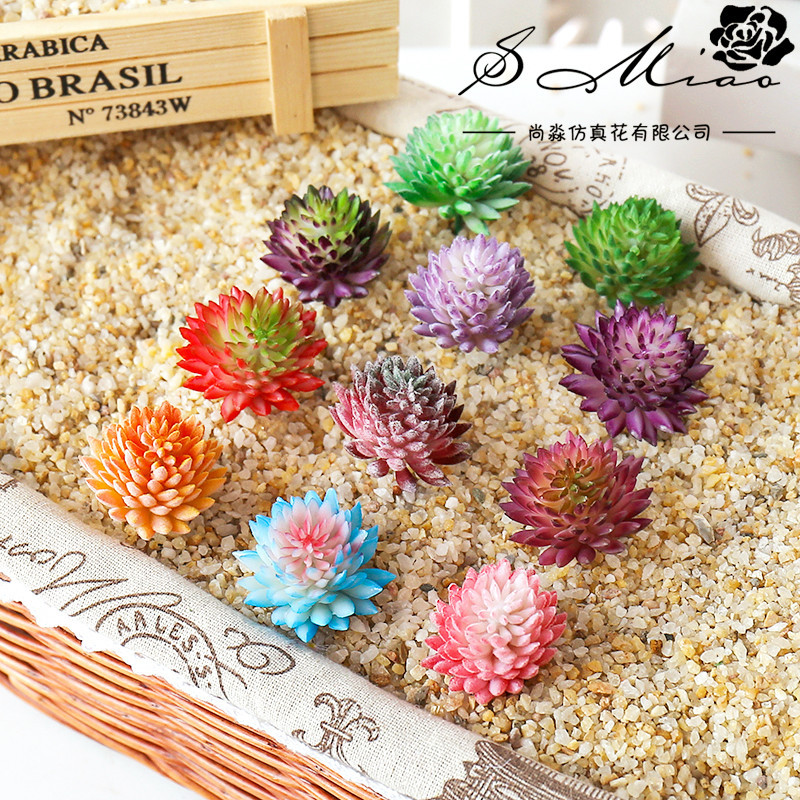 Wusmart-Plantas Suculentas Art - Succulent Arrangement Mini avaliação e preço