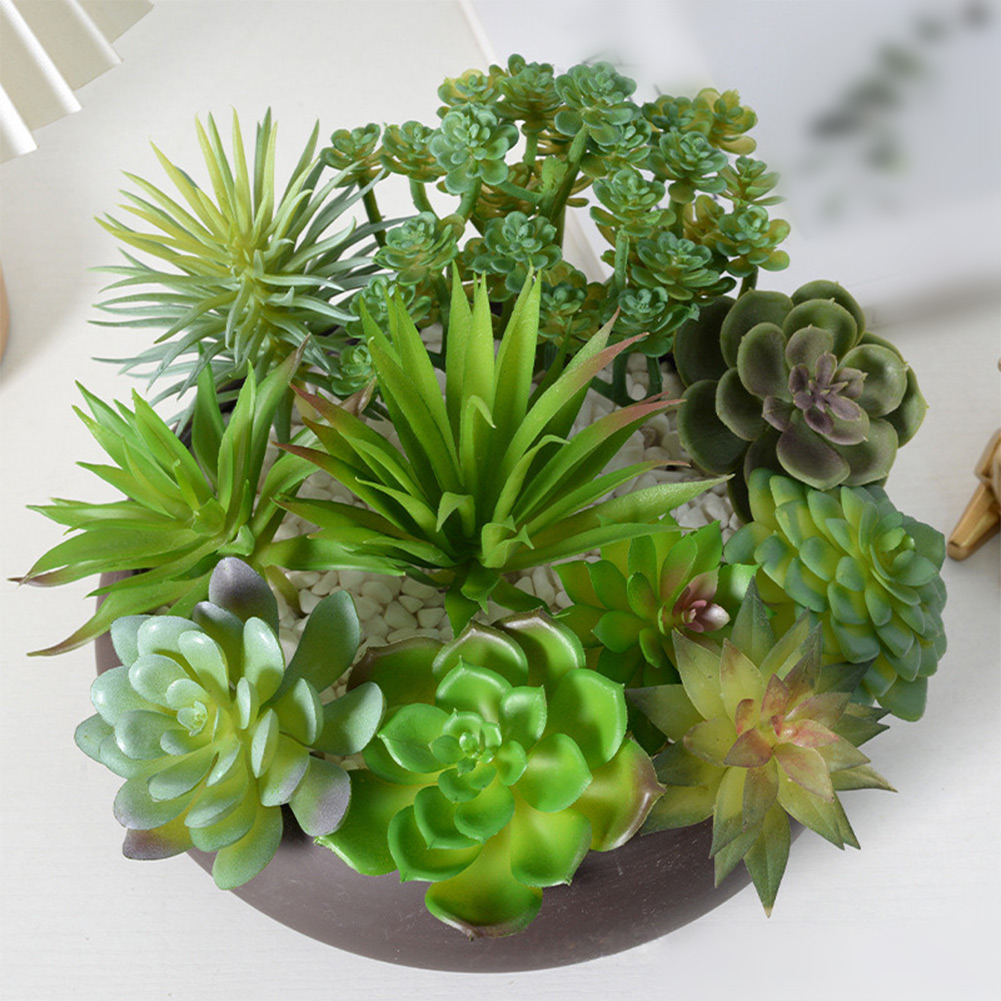 Arranjo de Suculentas Artifici - Succulent Arrangement Mini avaliação e preço